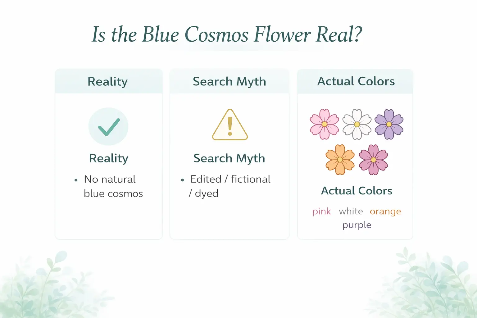 blue cosmos flower