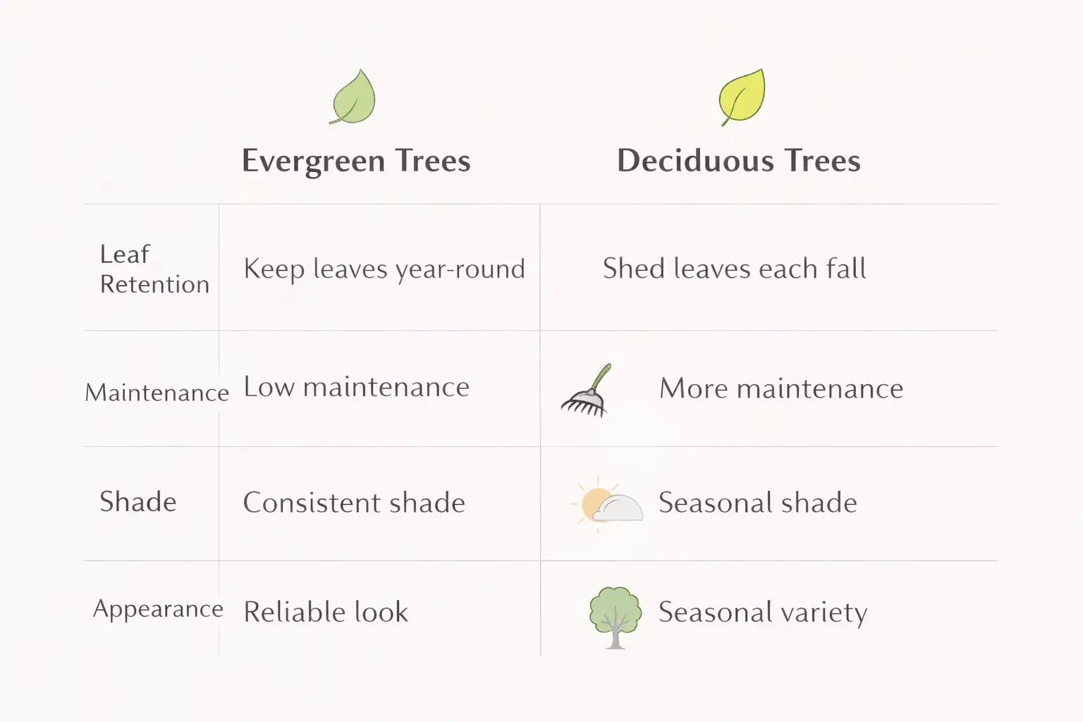 Evergreen vs deciduous trees comparison chart showing key differences