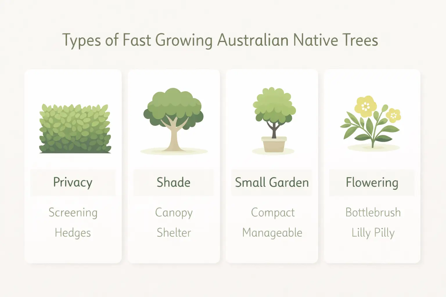 fast growing australian native trees