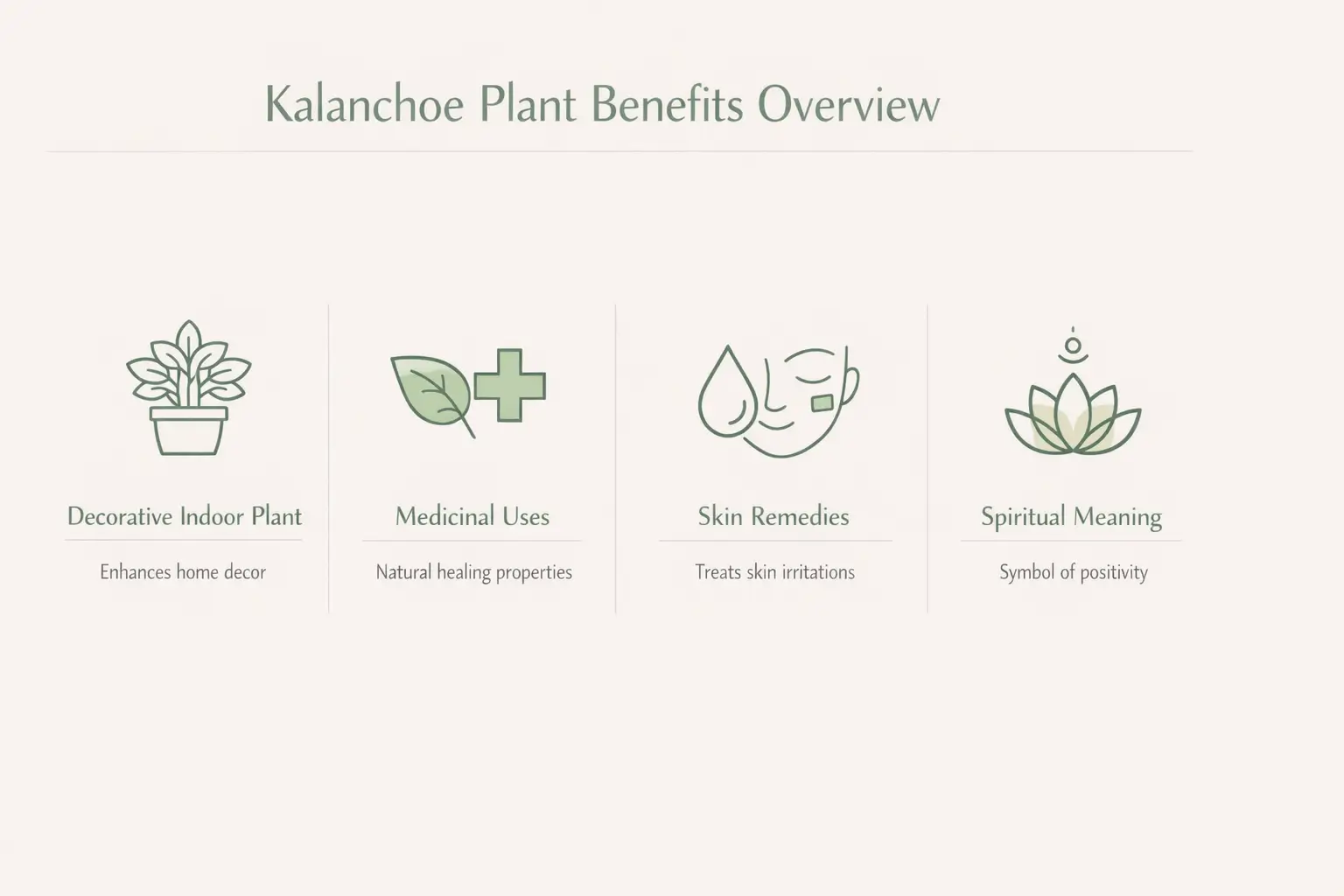 kalanchoe plant benefits