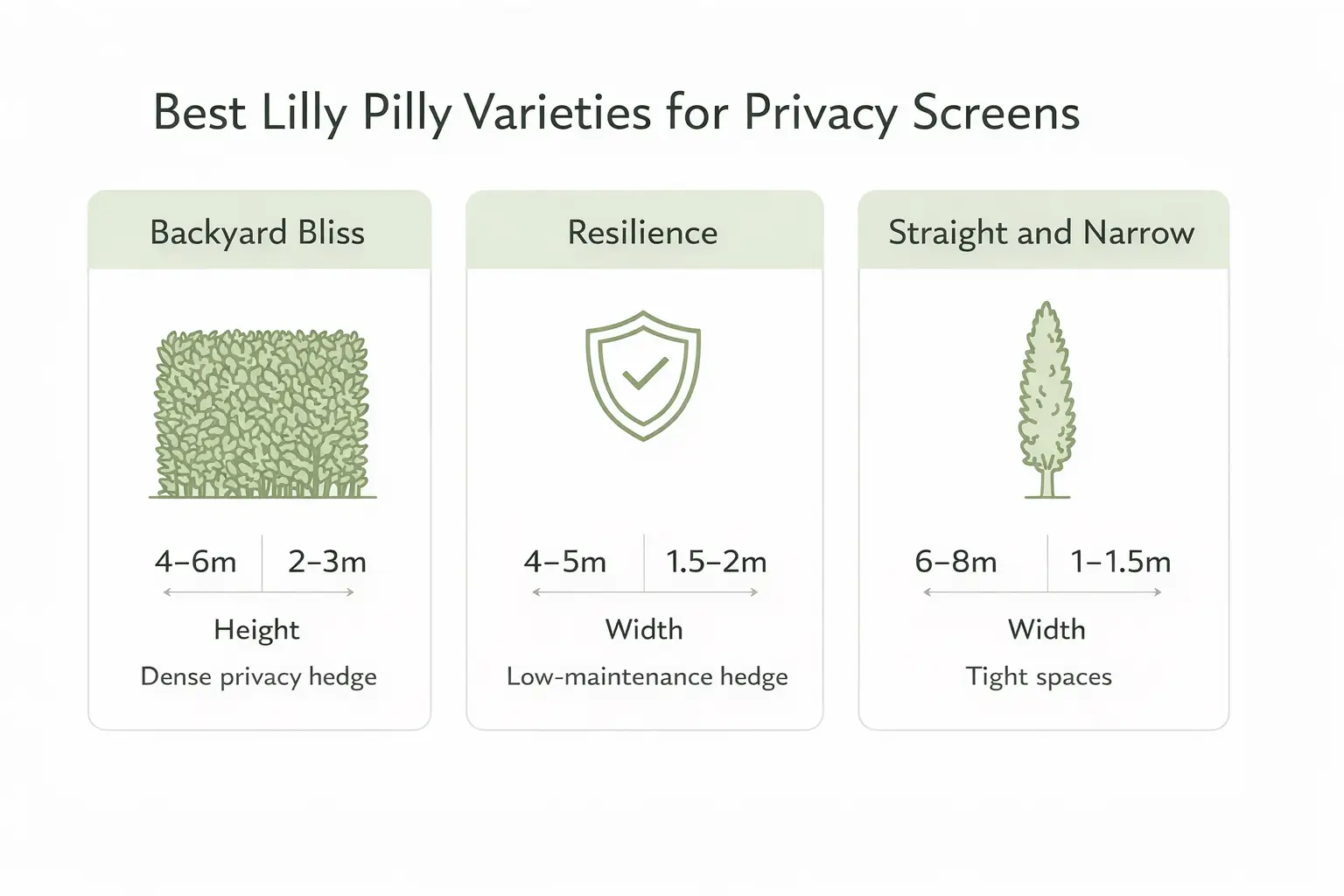 lilly pilly privacy screen