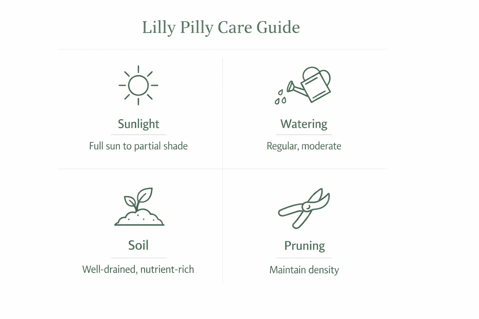 lilly pilly privacy screen