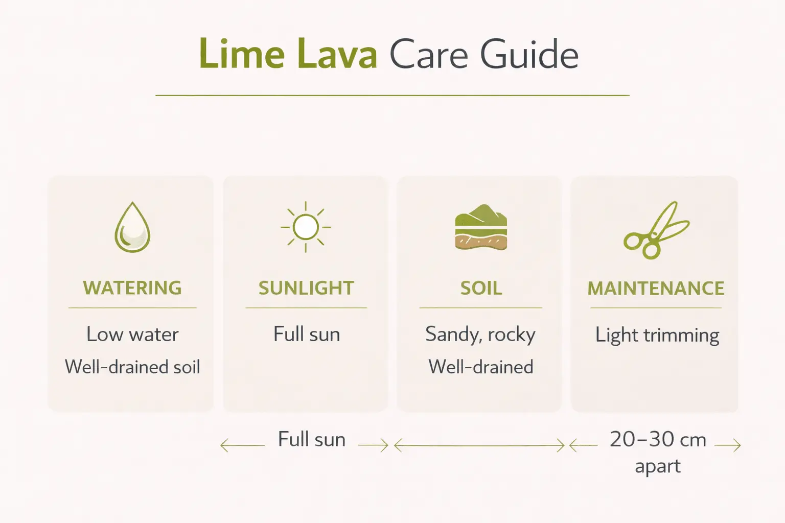 lime lava ground cover