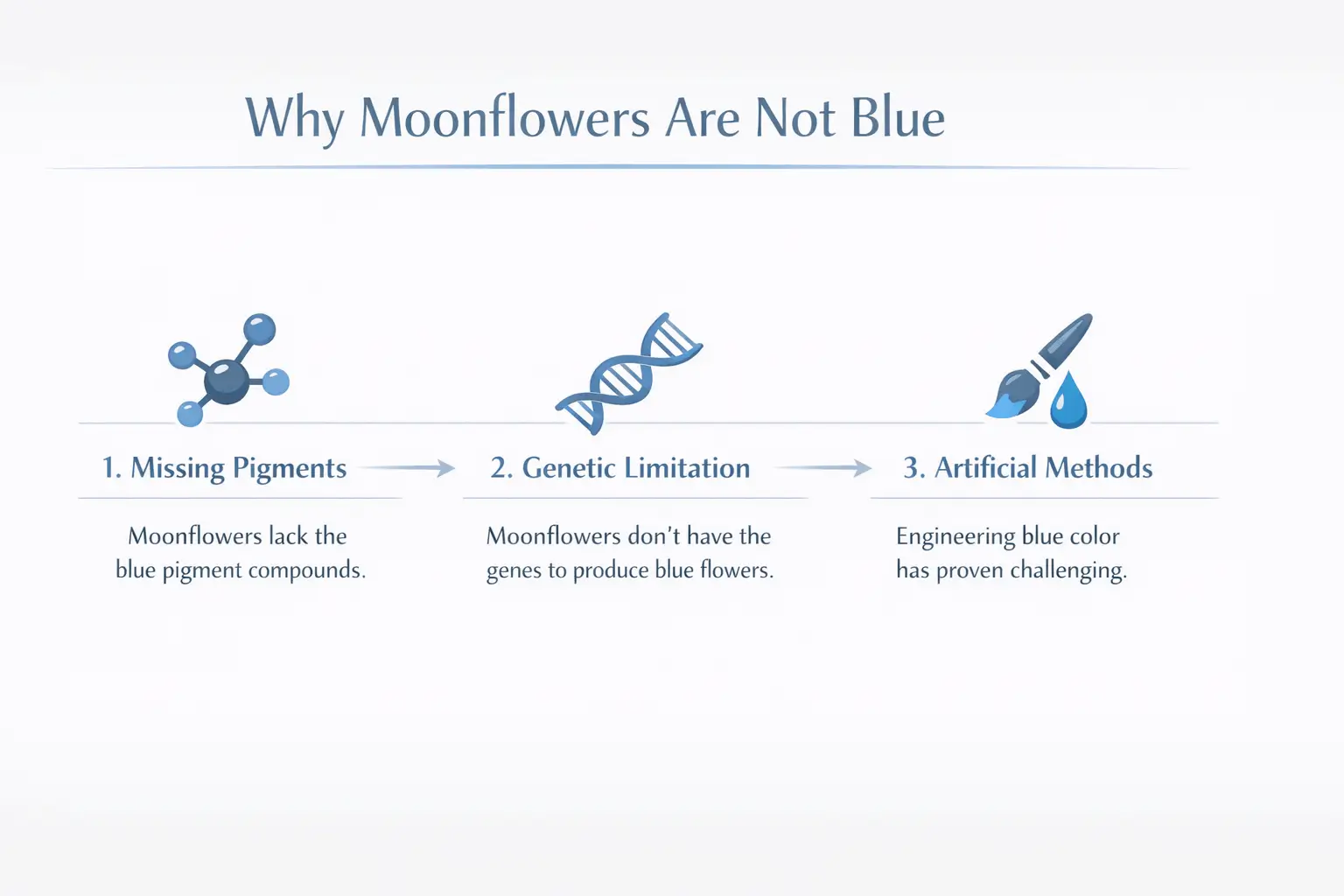 moonflower blue
