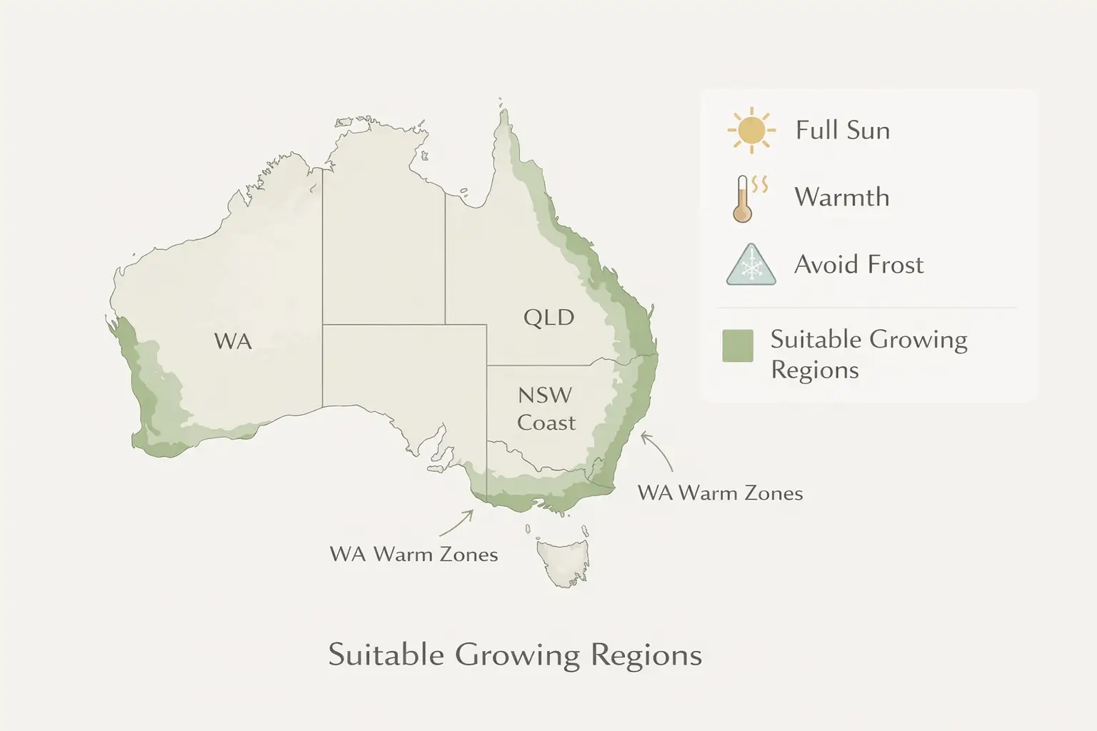 Map showing ponytail palm outdoor growing regions in Australia warm climates