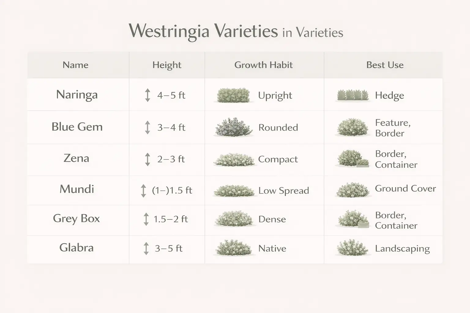 types of westringia