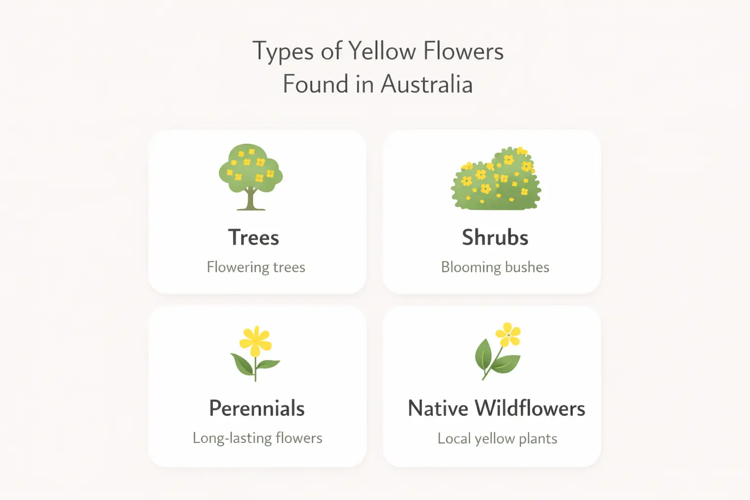 yellow flowers australia