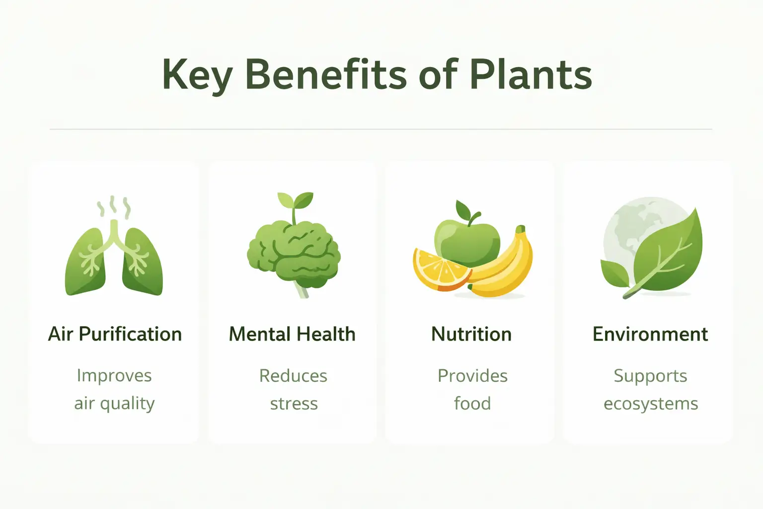 Plants Benefits and Guides