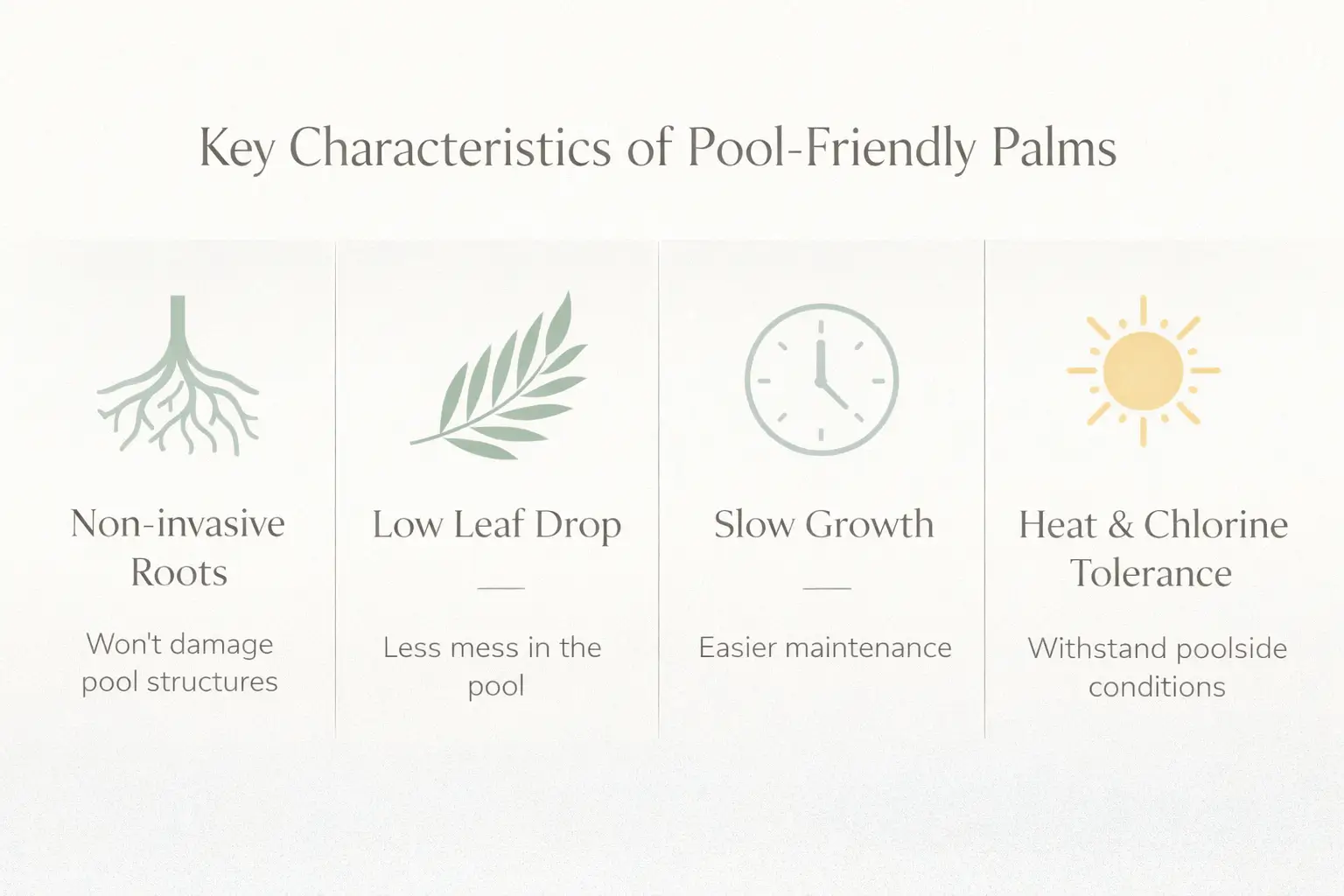 best palm trees around pools australia