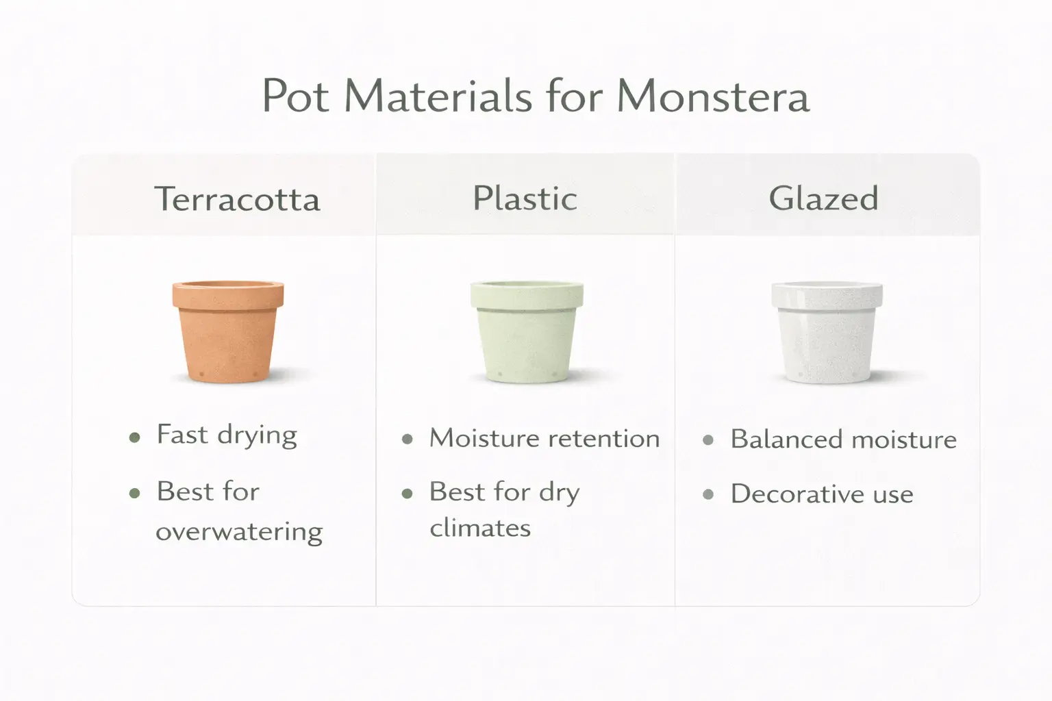 best pot for monstera