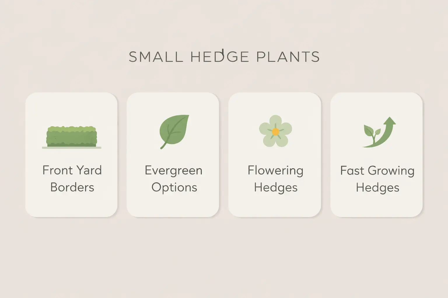 best small hedge plants