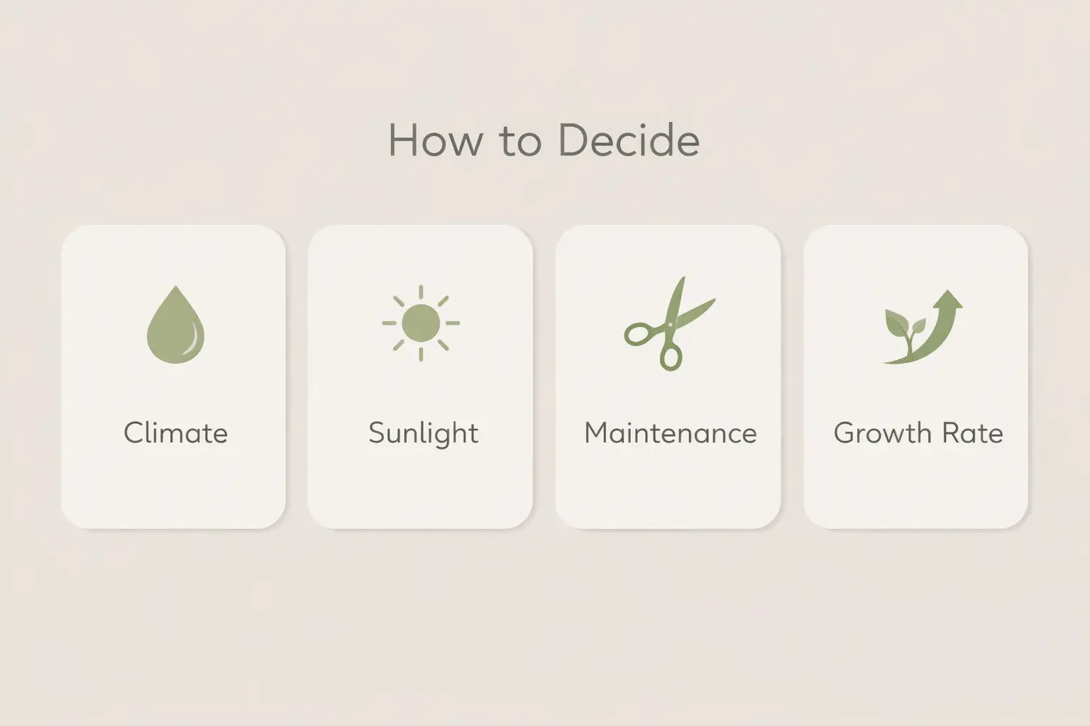 best small hedge plants