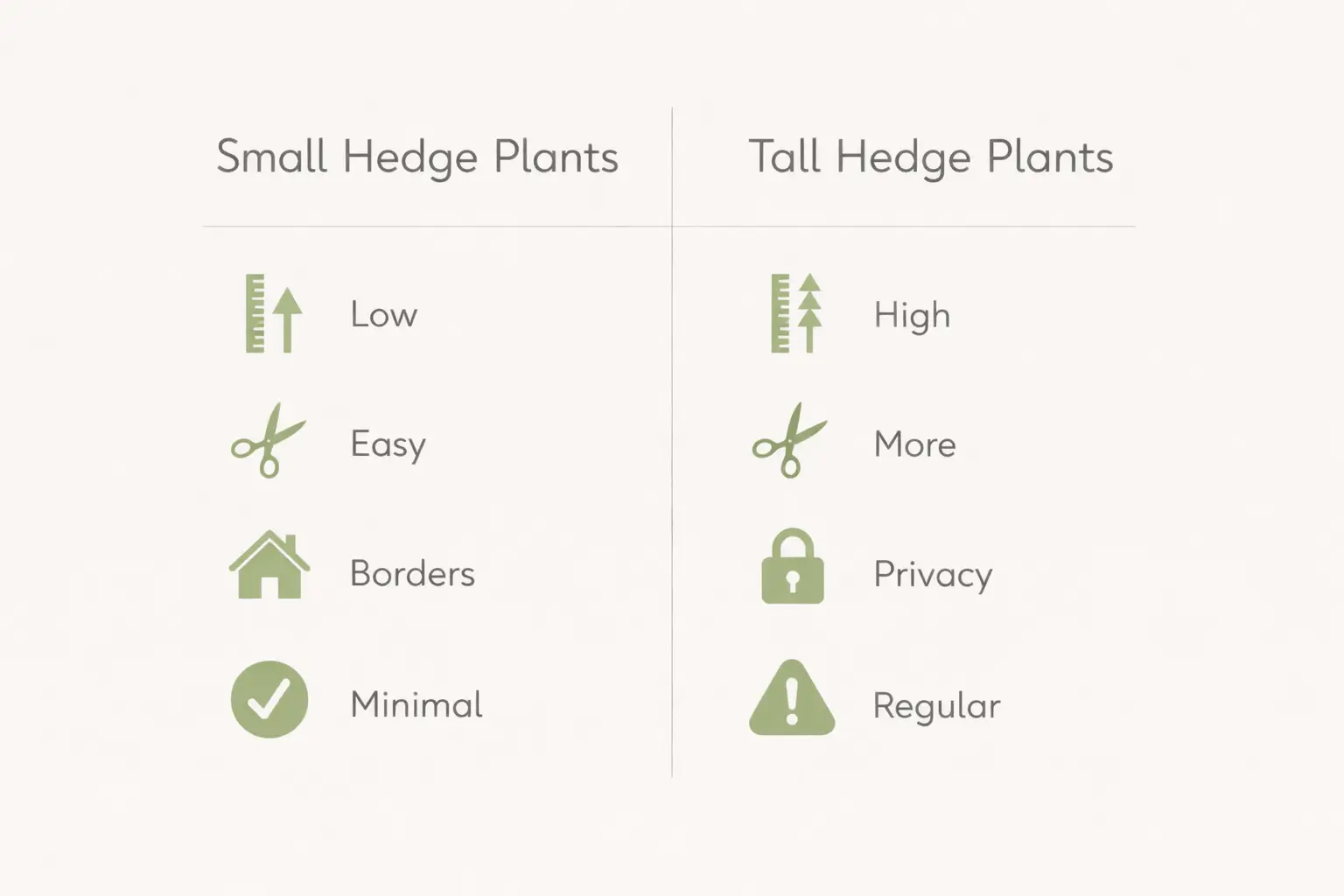 best small hedge plants