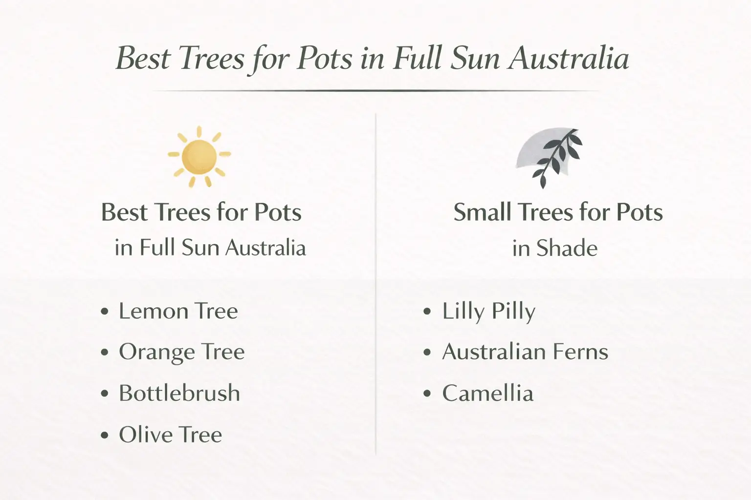 best trees to grow in pots australia