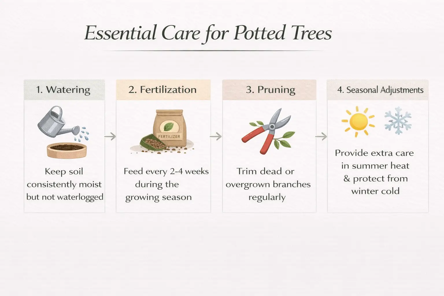 best trees to grow in pots australia