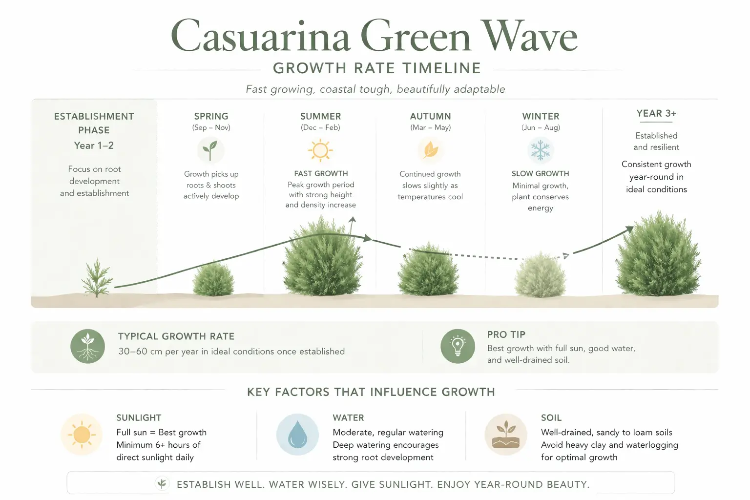 casuarina green wave