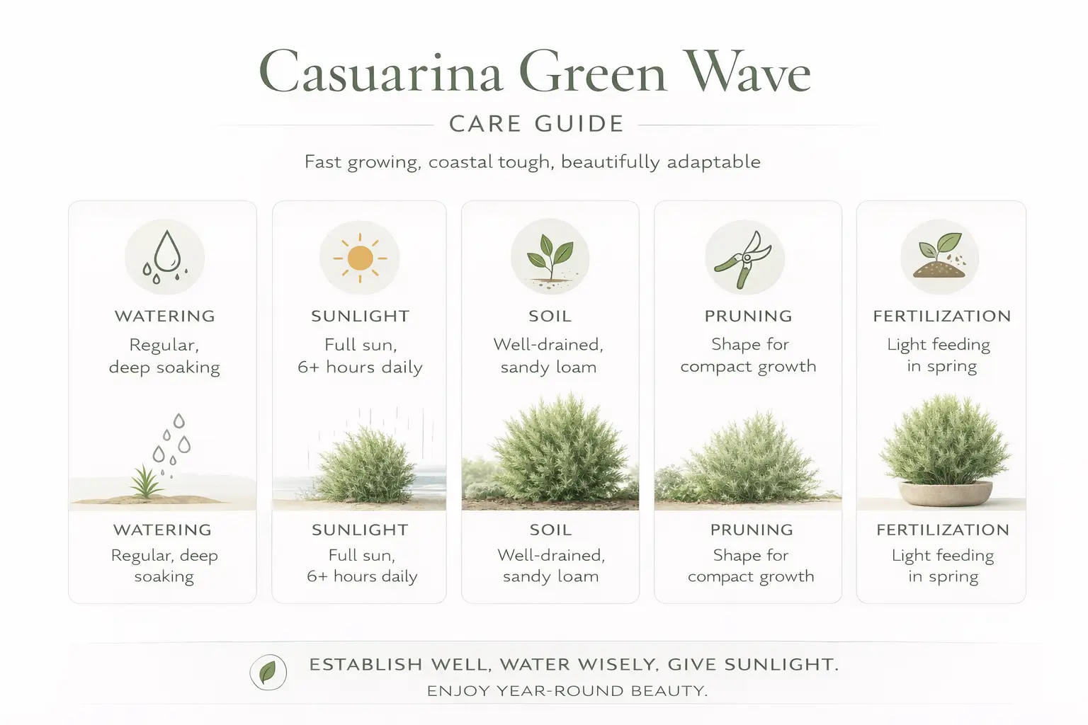 casuarina green wave
