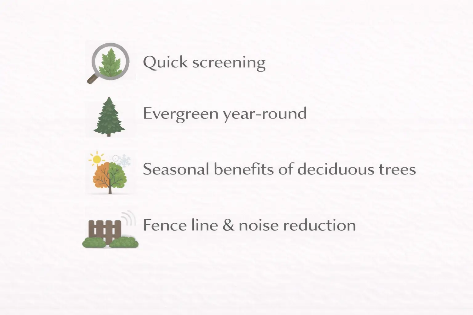 fast growing trees for privacy