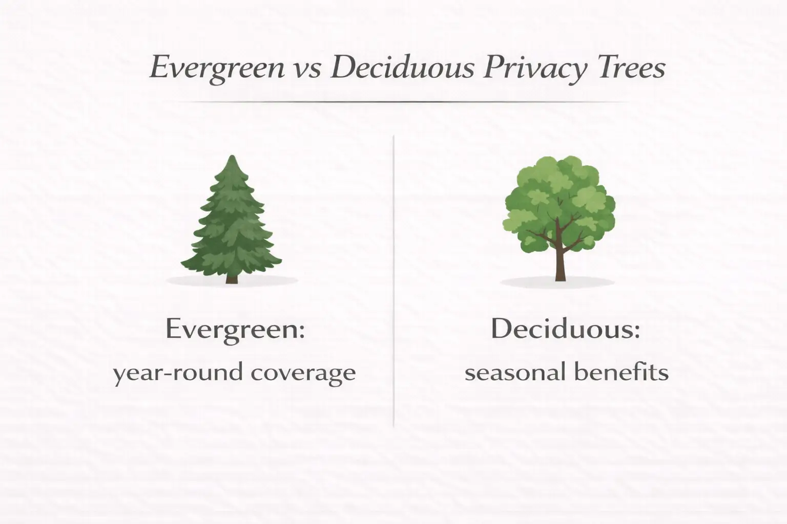 fast growing trees for privacy