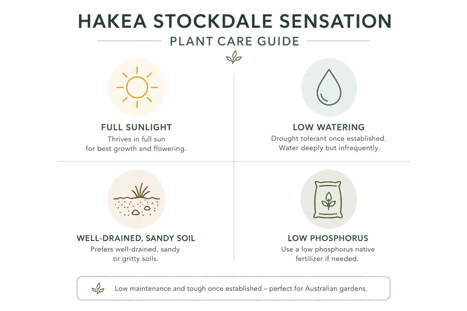 hakea stockdale sensation