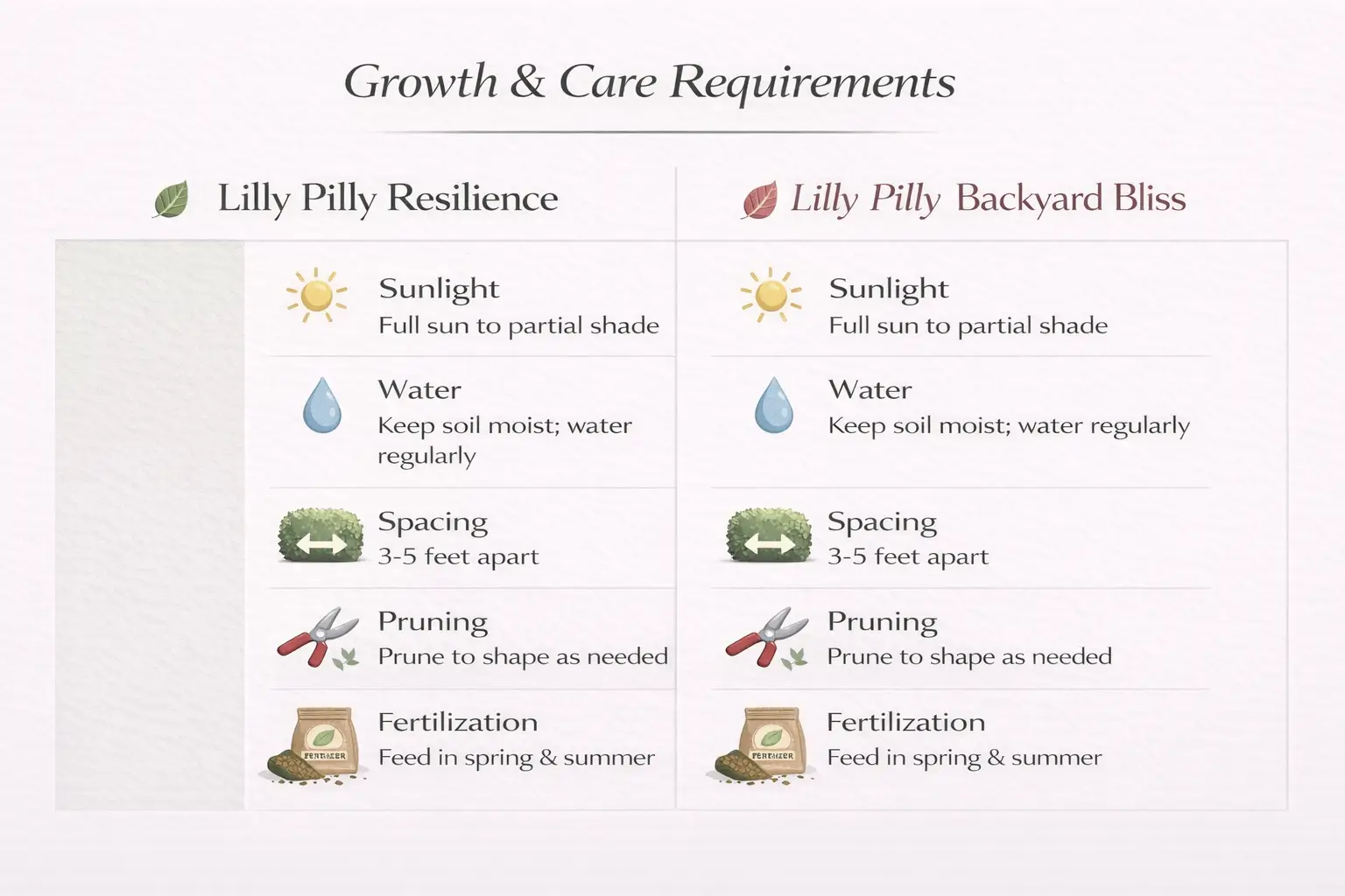 lilly pilly resilience vs backyard bliss