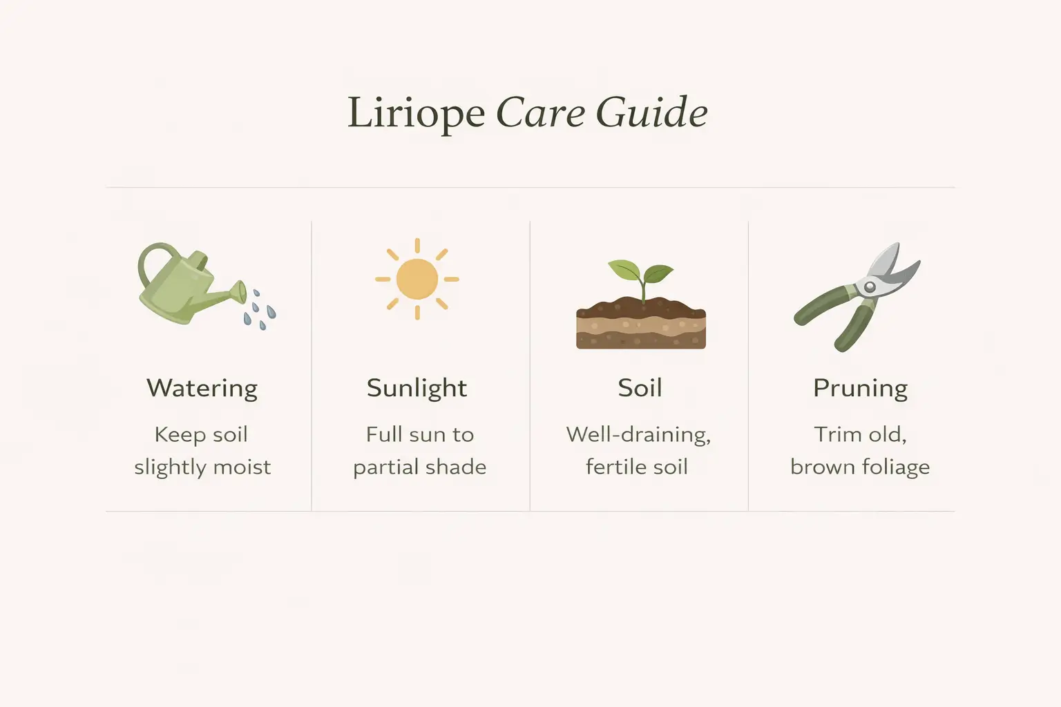 liriope varieties