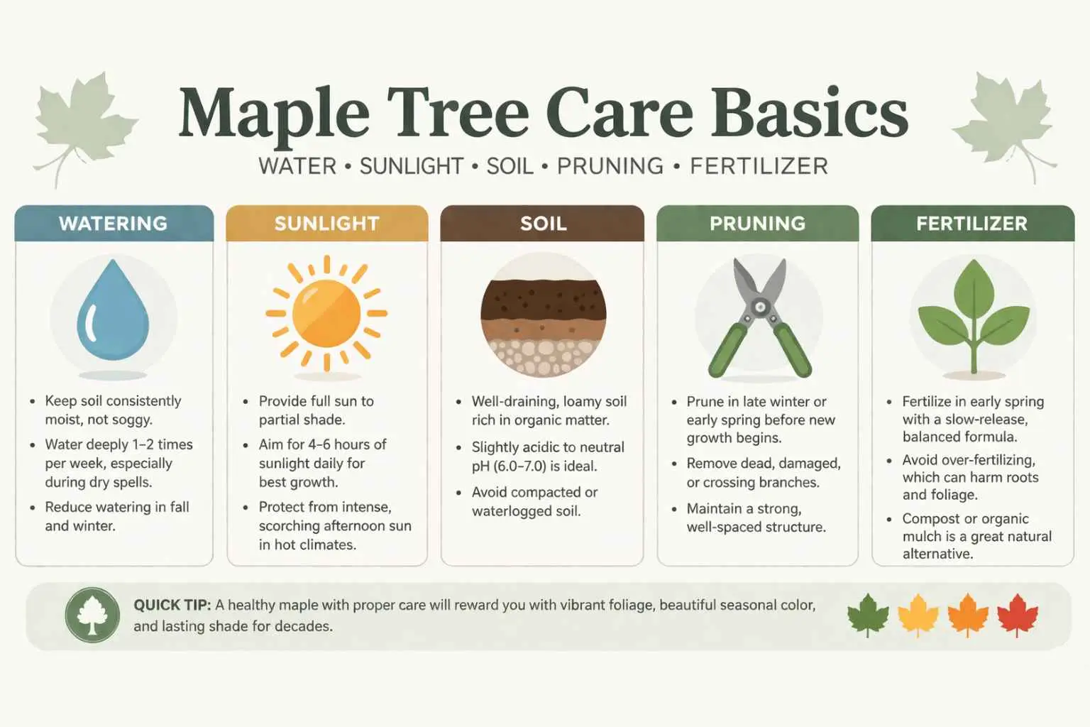 maple tree care
