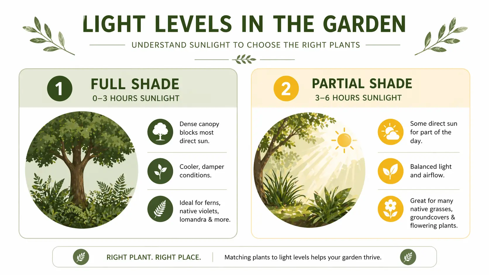 native full shade plants australia