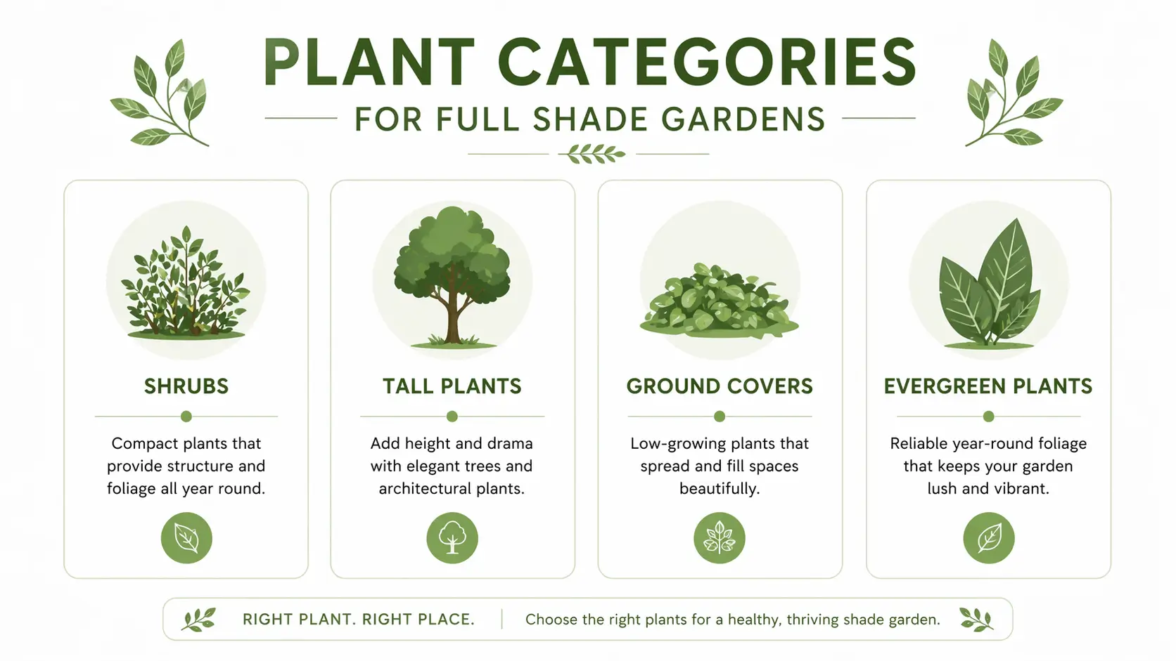 native full shade plants australia