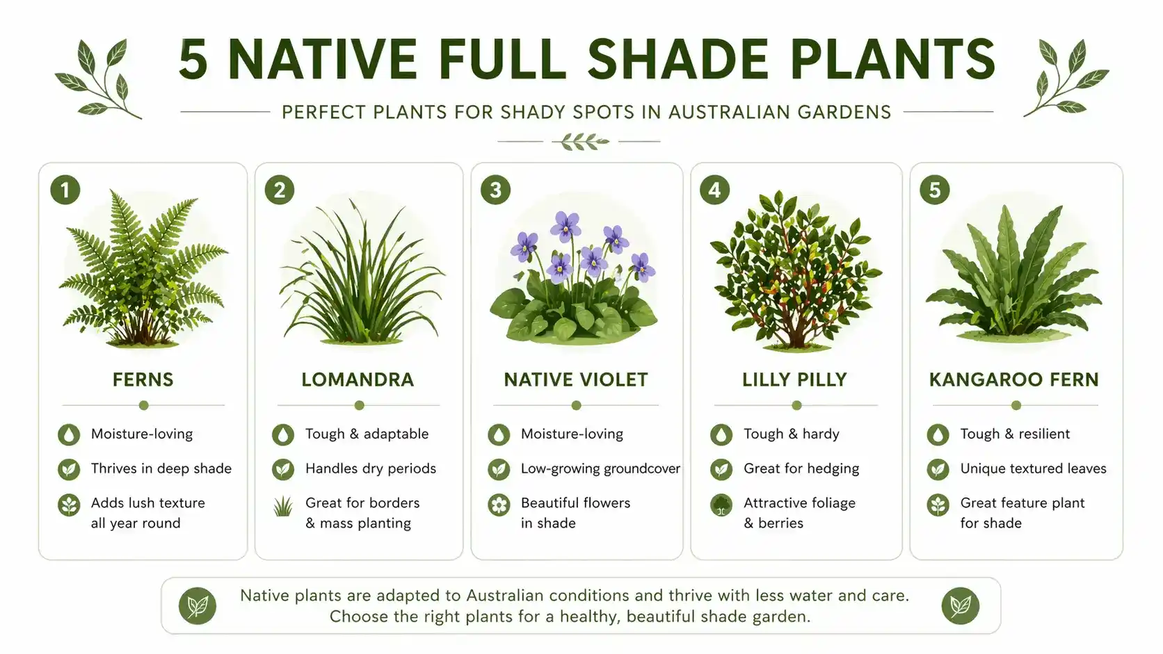 native full shade plants australia