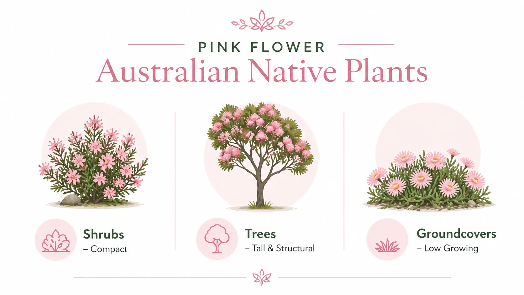 pink flower australian native