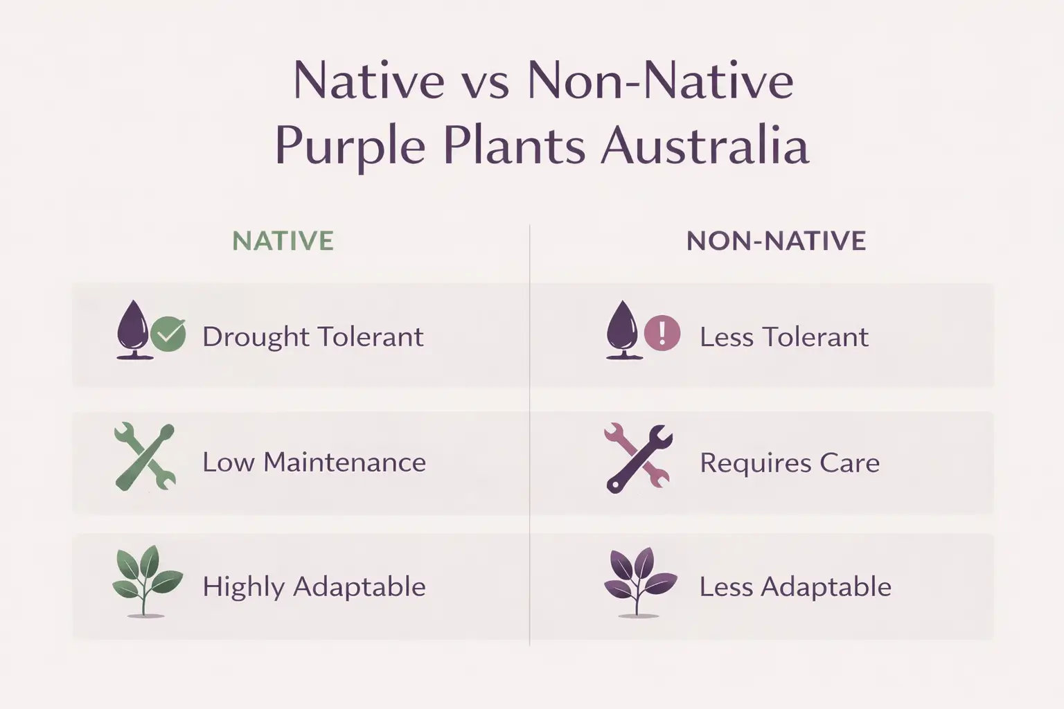 purple leaf plants australia
