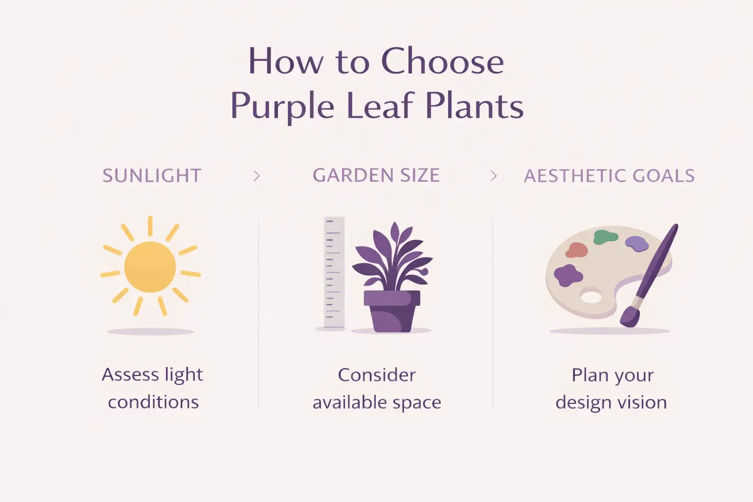 purple leaf plants australia