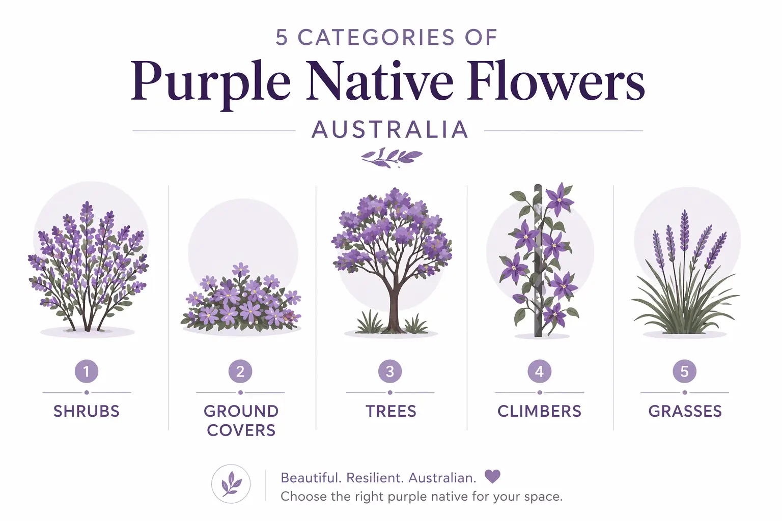 purple native flowers australia