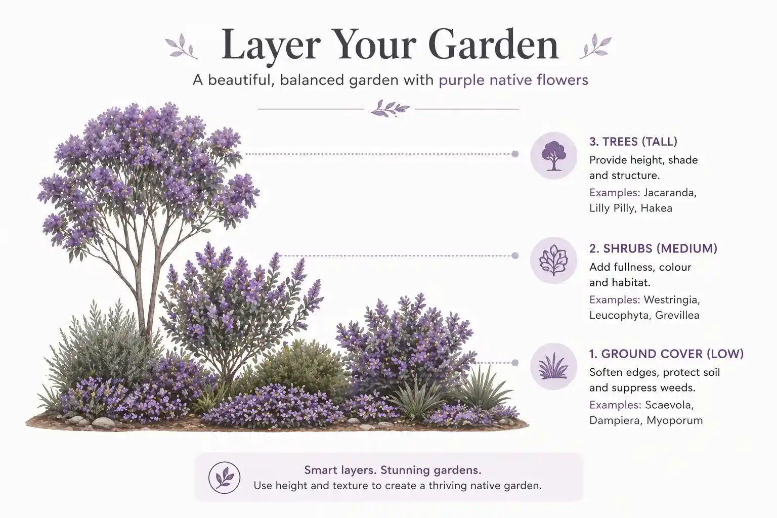 purple native flowers australia