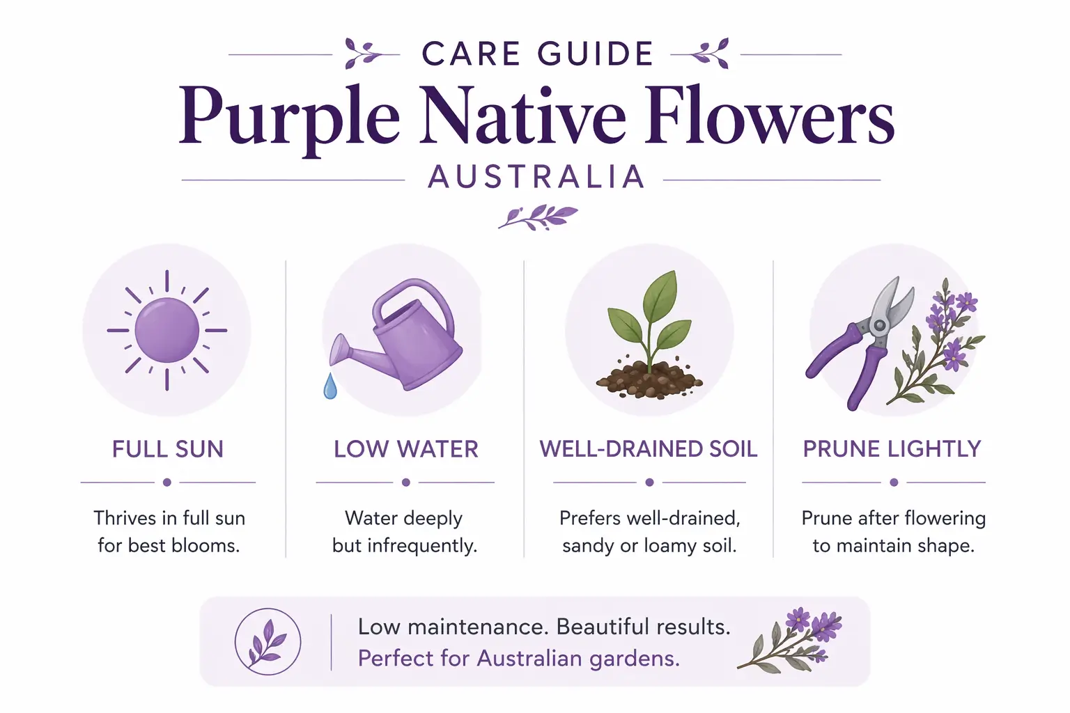 purple native flowers australia