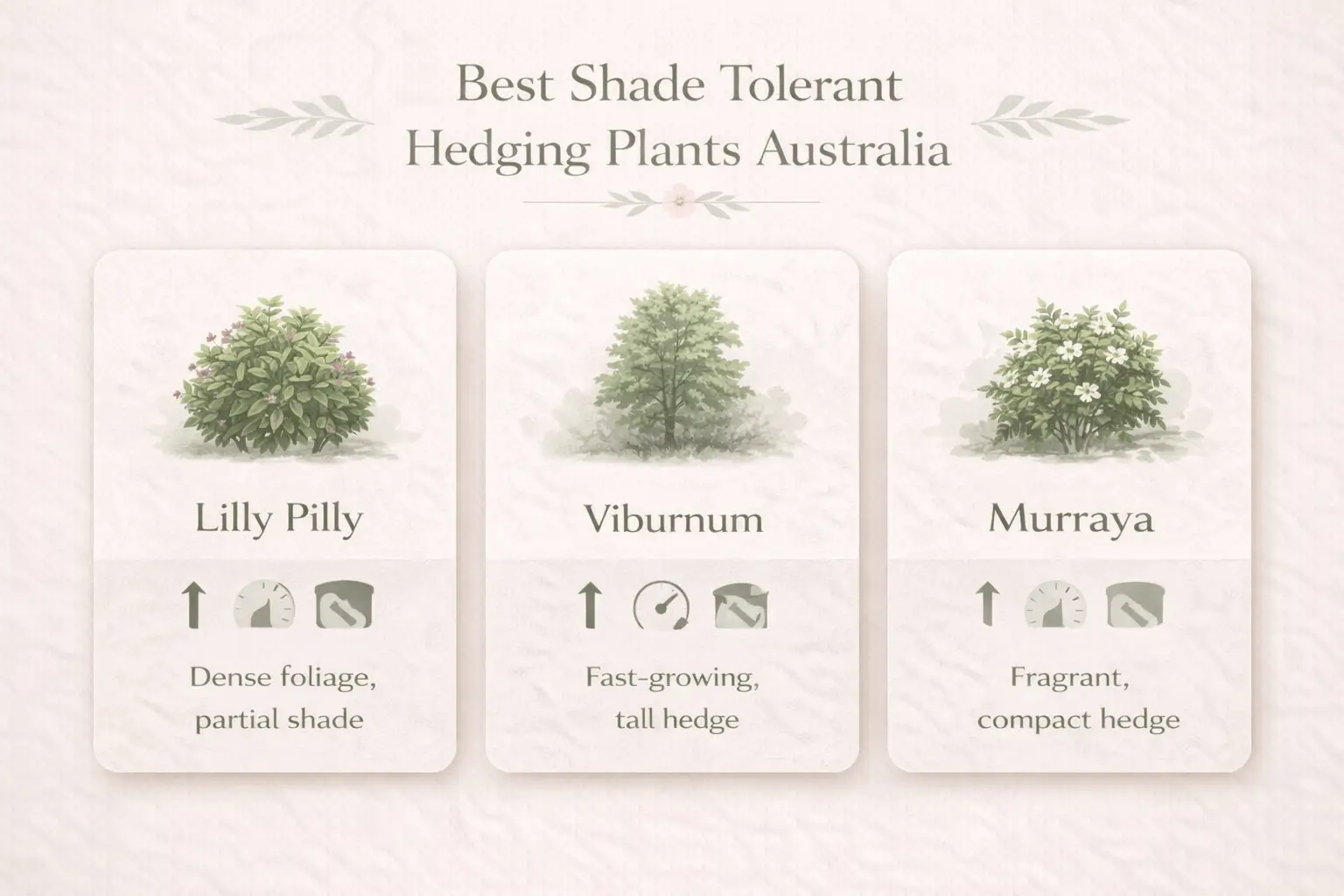 shade tolerant hedging plants australia