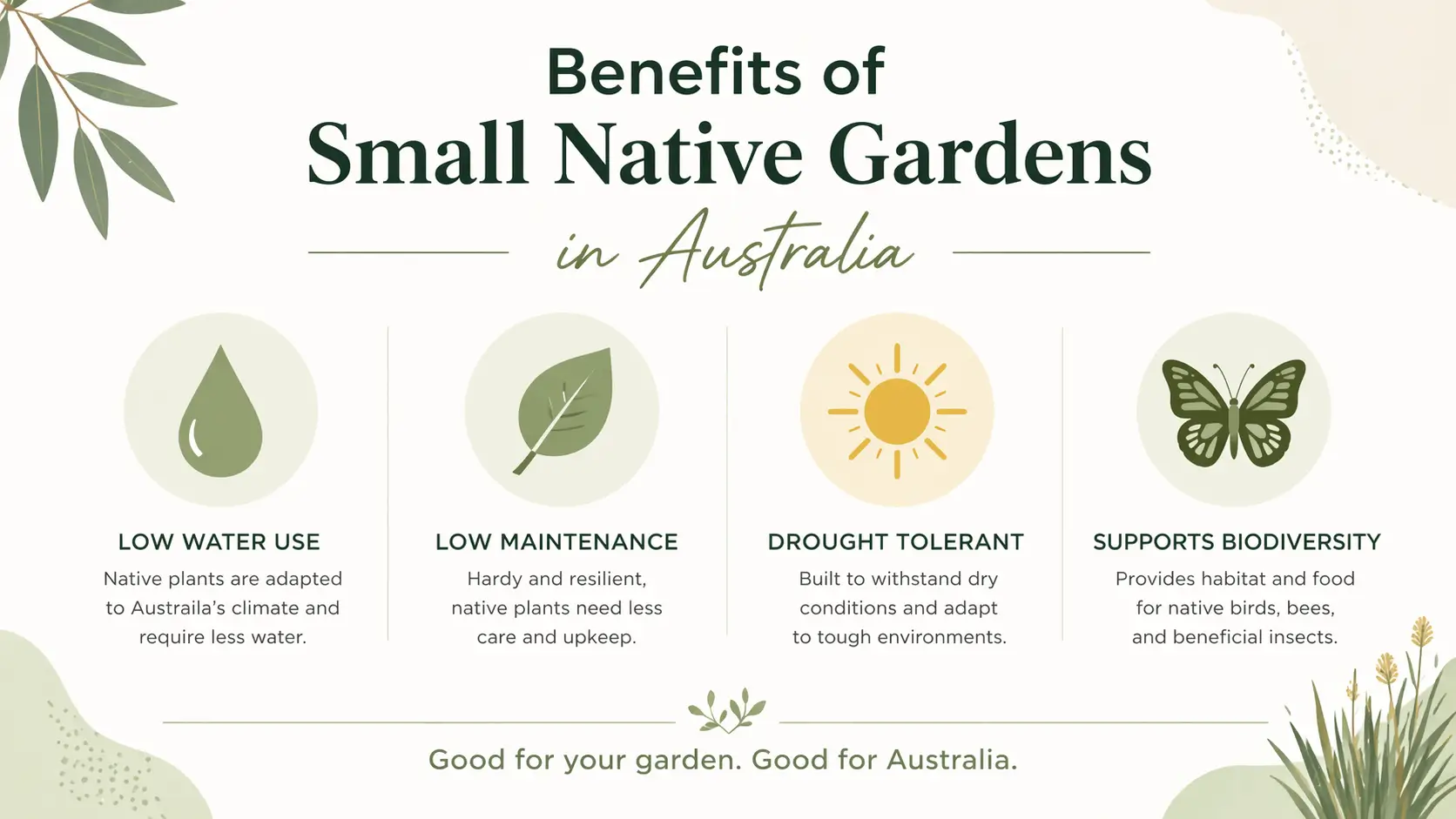 small native garden ideas australia