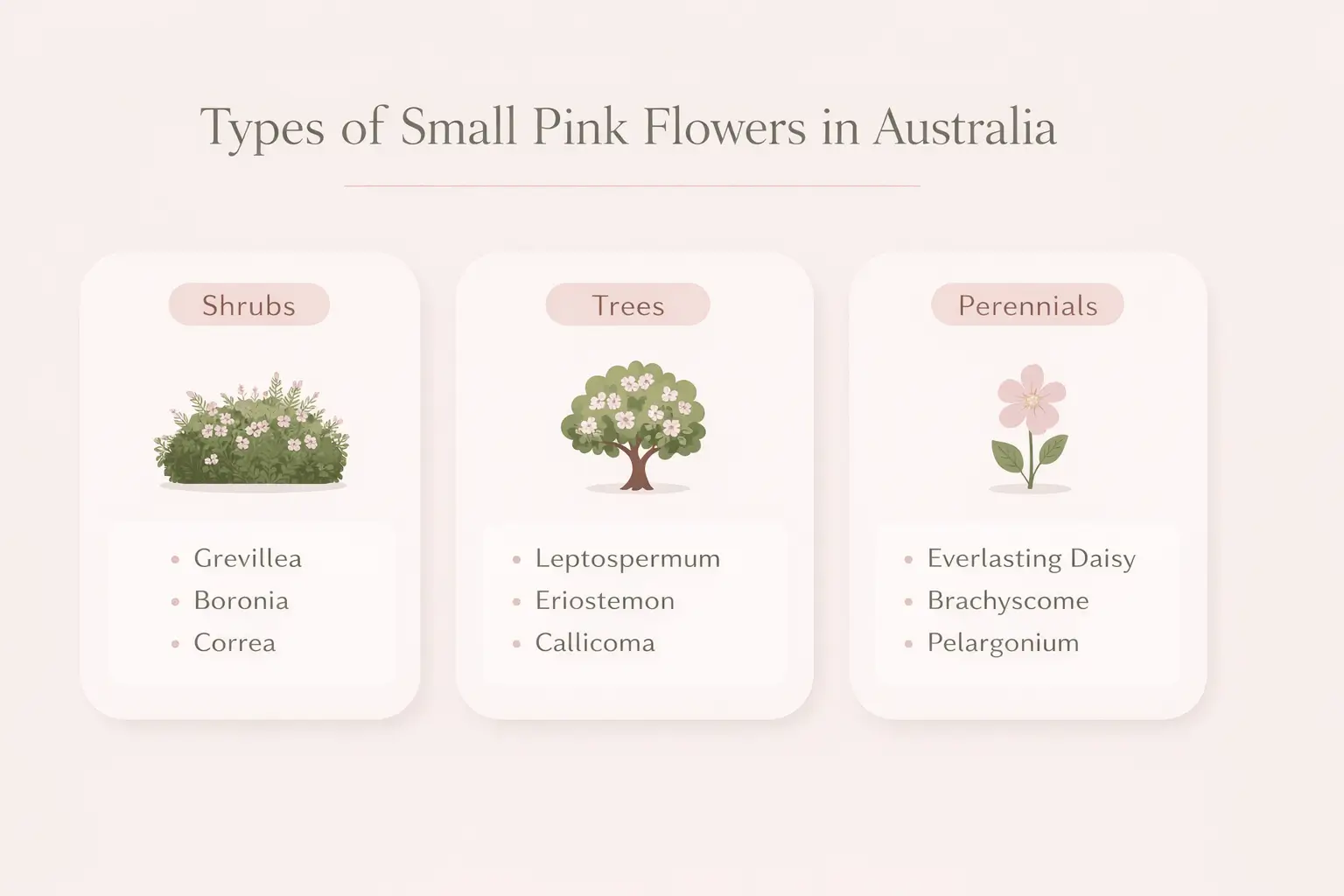 small pink flowers australia