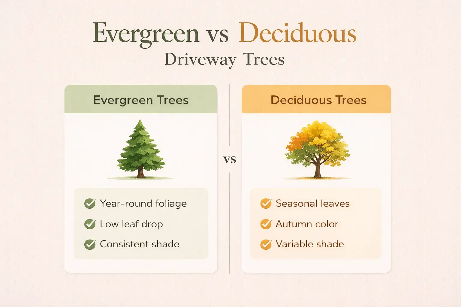 trees to plant along driveway