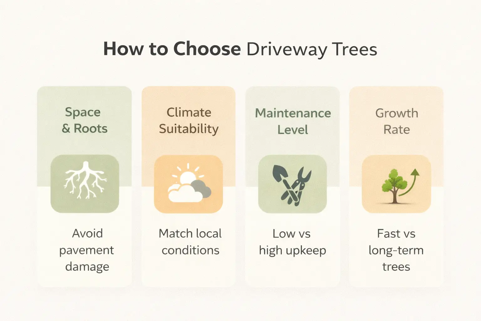 trees to plant along driveway