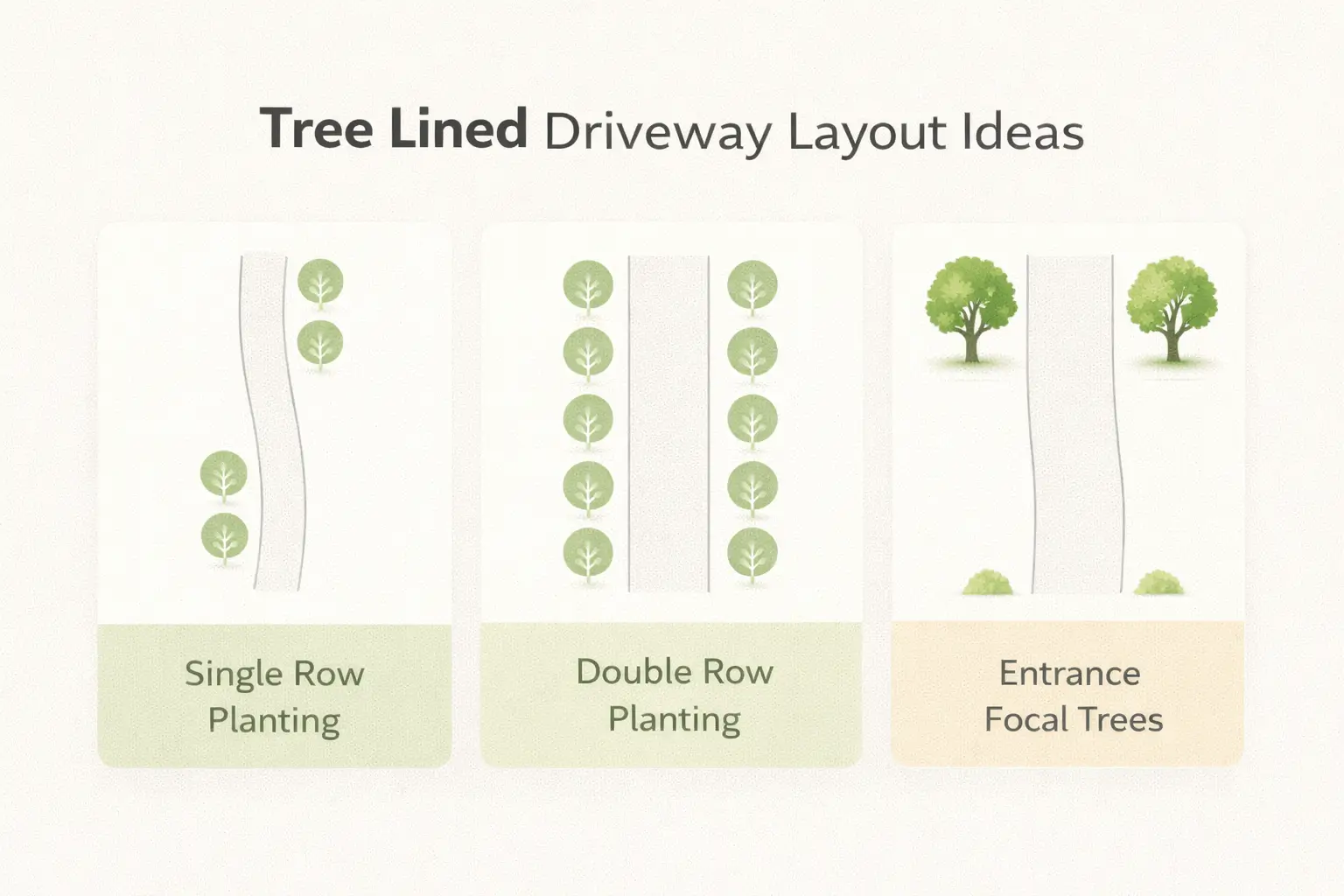 trees to plant along driveway