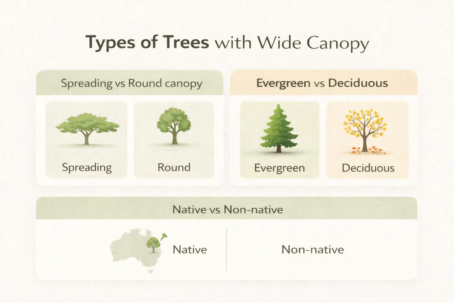 trees with wide canopy