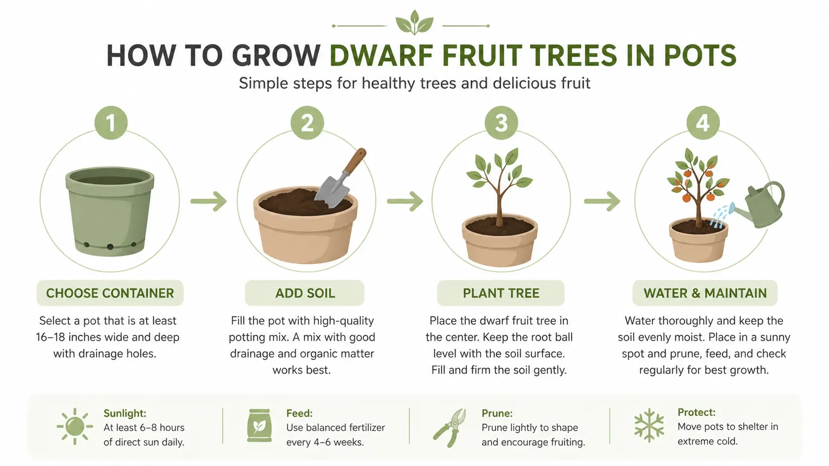 Dwarf Fruit Trees