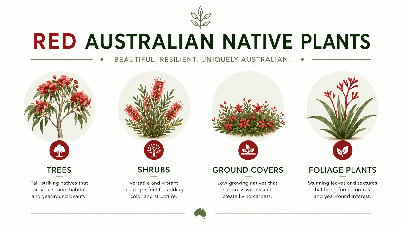 red australian native flowers