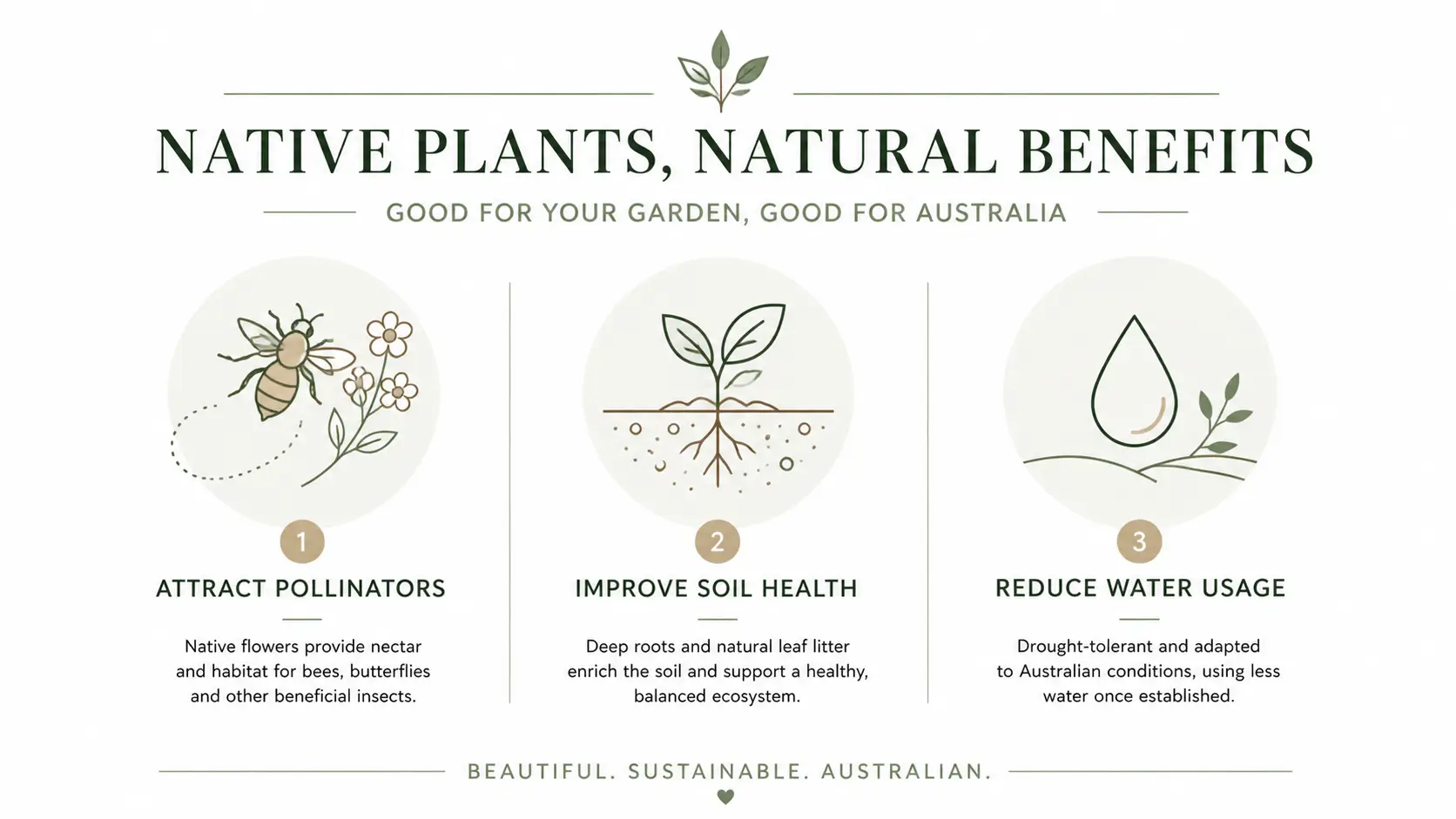 white native flowers australia