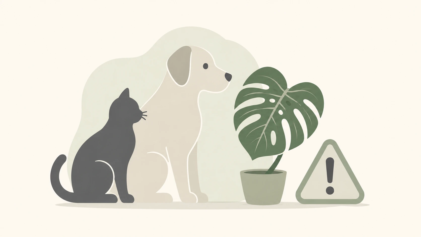 monstera vs philodendron