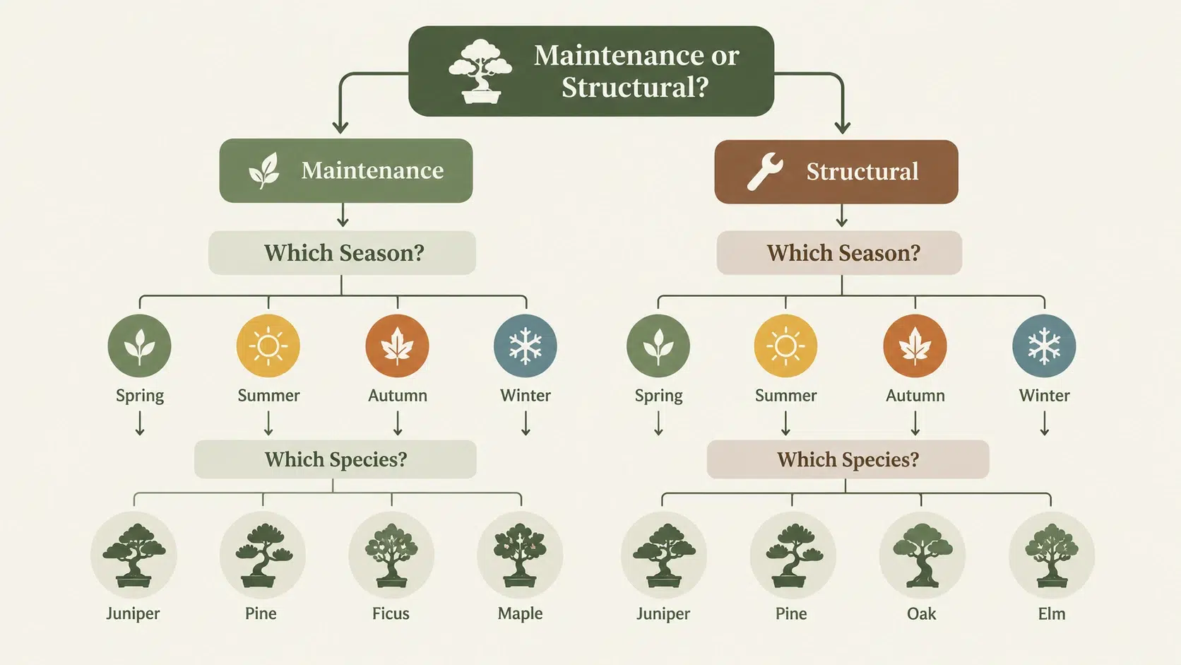 bonsai pruning guide