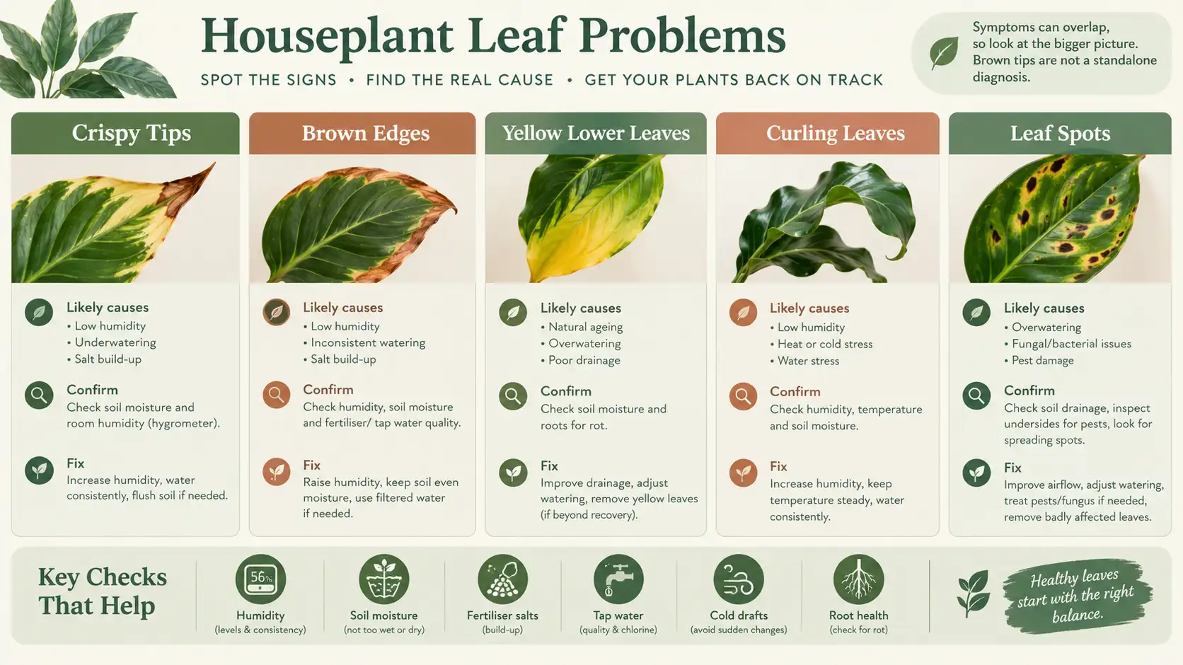 humidity chart houseplant
