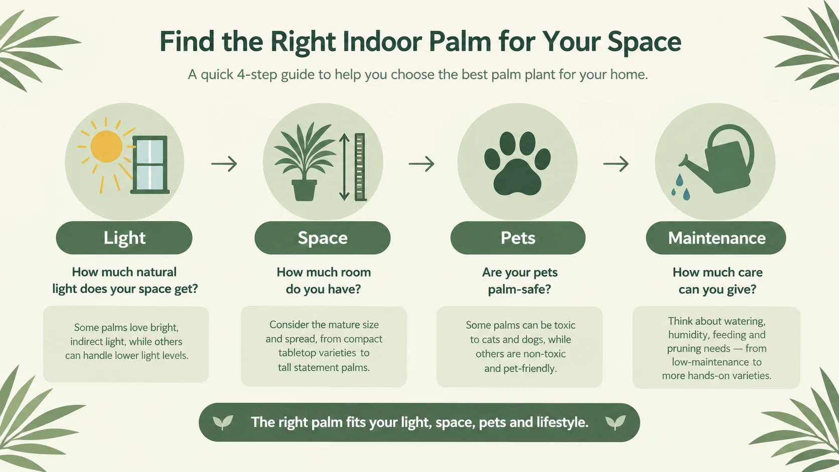 types of indoor palm plants